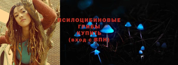 гидра Костерёво
