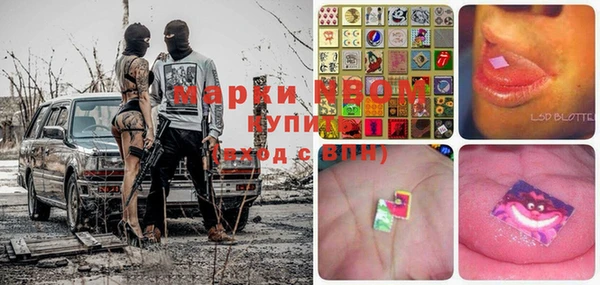 apvp Коряжма
