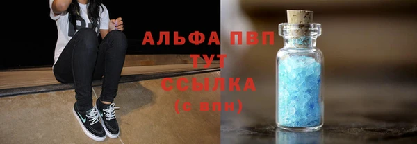 гидра Костерёво