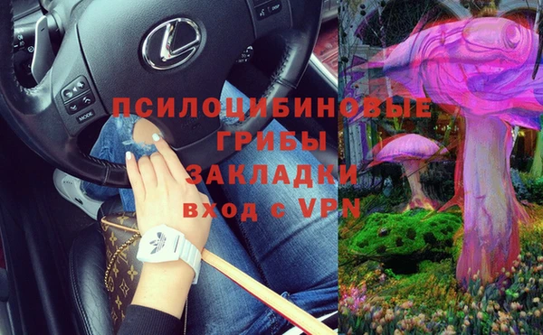 ГАЛЛЮЦИНОГЕННЫЕ ГРИБЫ Кулебаки