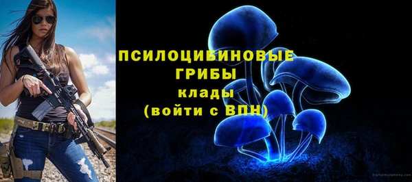 гидра Костерёво