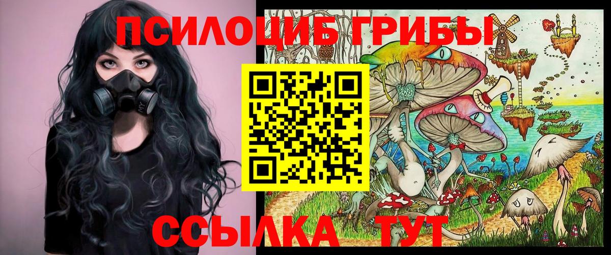 Псилоцибиновые грибы ЛСД  Михайловка 