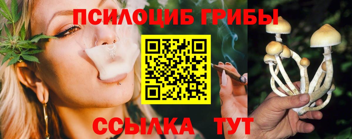 Галлюциногенные грибы Psilocybine cubensis  купить  сайты  Михайловка  Вход с VPN 